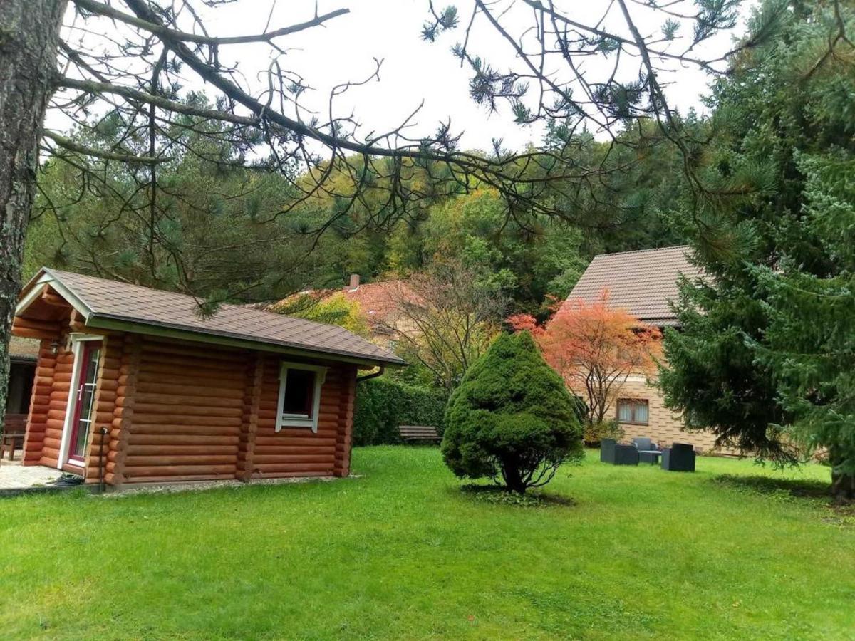 Apartamento Haus Am Wolfsbach Zorge Exterior foto