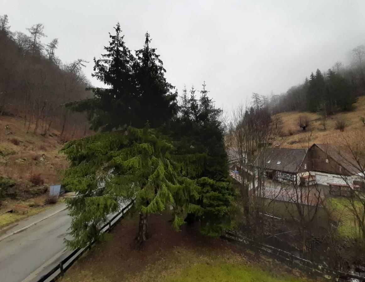Apartamento Haus Am Wolfsbach Zorge Exterior foto